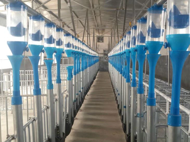 Automatic Pig Feeding System